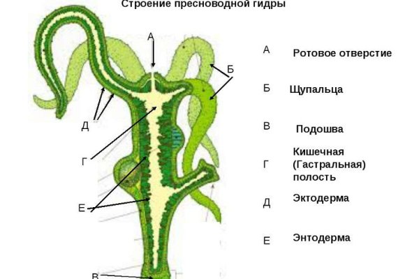 Сколько ждать перевода от обменника на меге