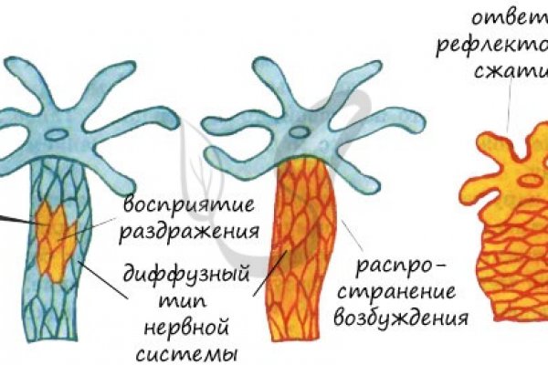 Кракен форум vk2 top