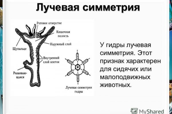 Как пишется сайт кракена