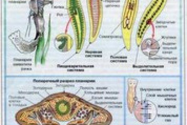 Кракен официальный сайт тор kra.mp