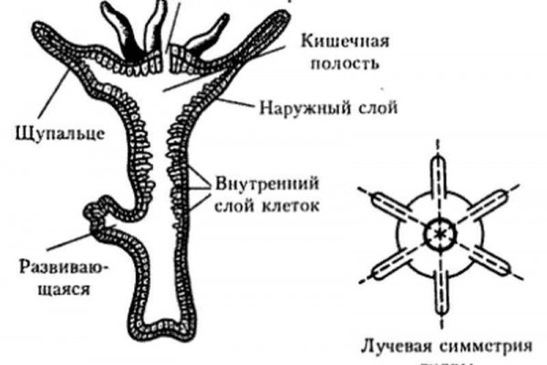 Mega зеркало