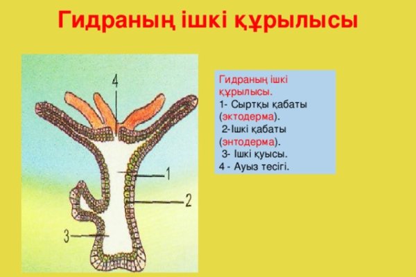 Ссылка com кракена