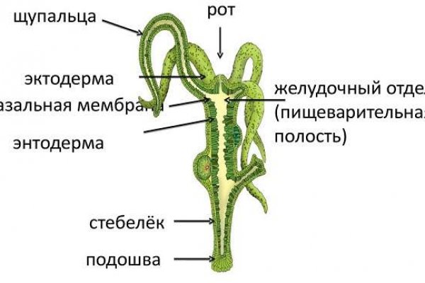 Ссылка на сайт omg omg в тор браузере